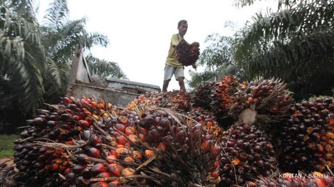 Cadangan CPO menipis, harga saham AALI melesat