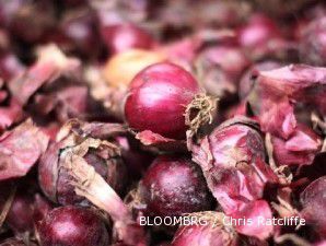 Mulai Juli, harga bawang merah terus meroket