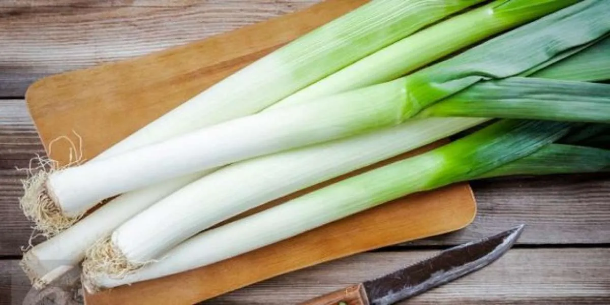 Cara Menanam Daun Bawang di Air, Gampang Banget! Yuk Ikuti 3 Langkah Ini