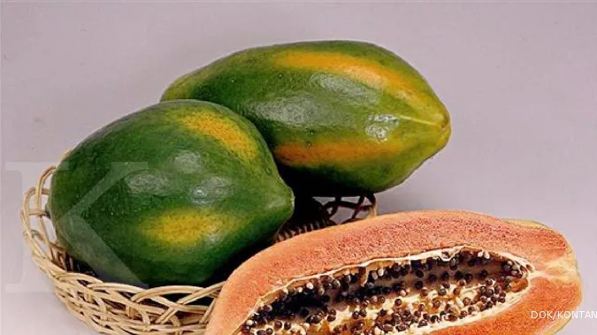  buah pepaya