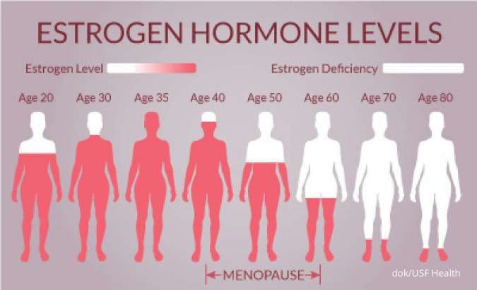 Alami Gejala Menopause? Konsumsi 6 Makanan Penambah Kadar Estrogen di Tubuh