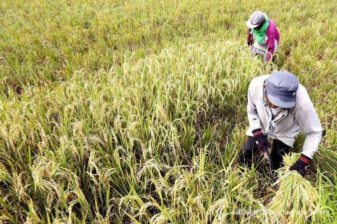 Kementan Minta Tambahan Anggaran Jadi Rp 44,64 Triliun di 2026,Pengamat Bilang Begini