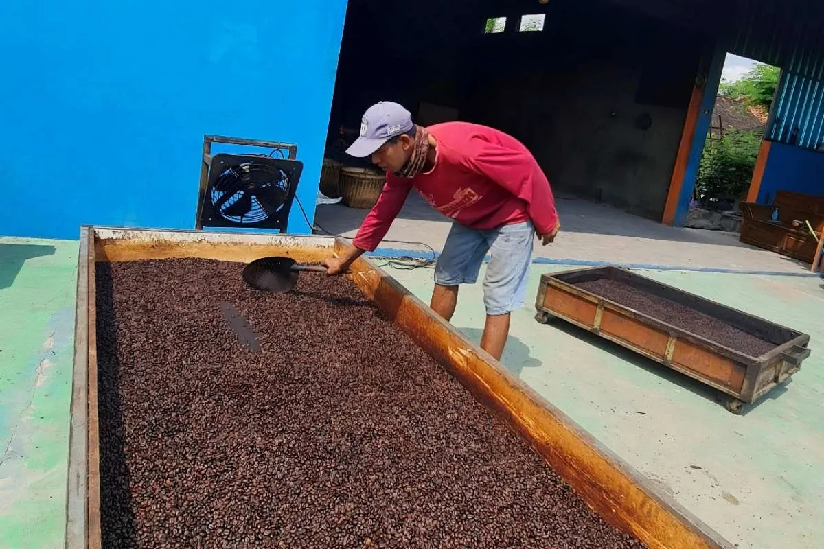 Dorong Pertumbuhan Ekonomi di Daerah dengan Pengembangan UMKM