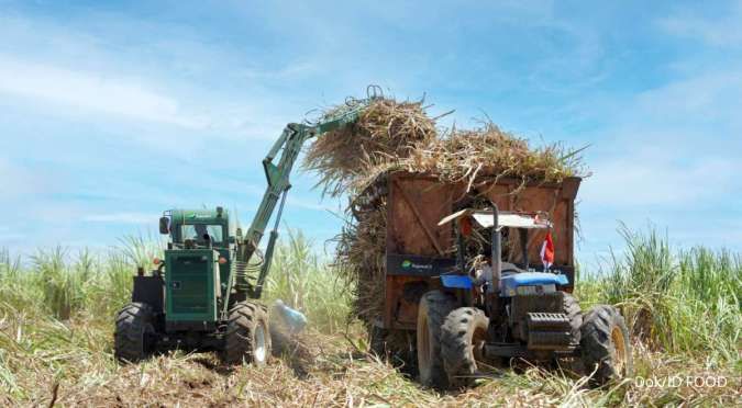 Impor Gula dan Garam Konsumsi Bakal Distop