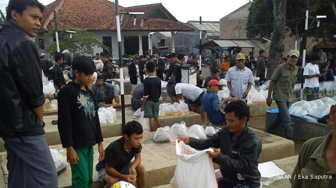 Sentra ikan hias Parung: Menuju mancanegara (2)