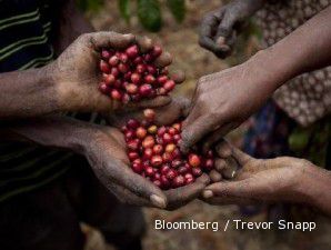 Permintaan melejit, harga kopi makin mewangi