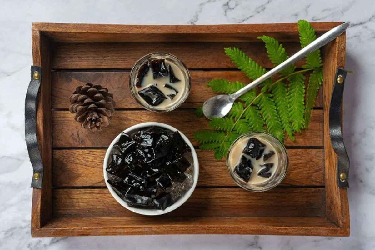 Kaya Antioksidan, Ini Manfaat Cincau yang Telah Dibuktikan Secara Ilmiah