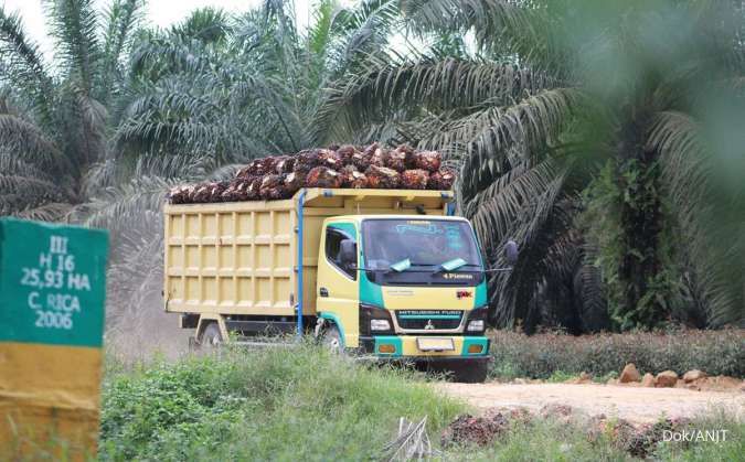Sepanjang Tahun Ini, Austindo Nusantara Jaya (ANJT) Targetkan Produksi CPO Naik 10%