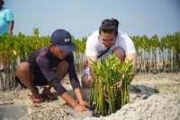 Perwira Muda PIS Tanam 1.000 Mangrove dan Transplantasi Terumbu Karang