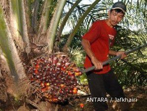 PTPN sambut baik pembentukan induk usaha perkebunan