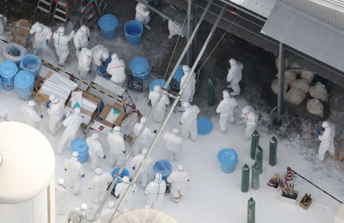 Korea Selatan kembali temukan kasus flu burung di peternakan unggas lokal
