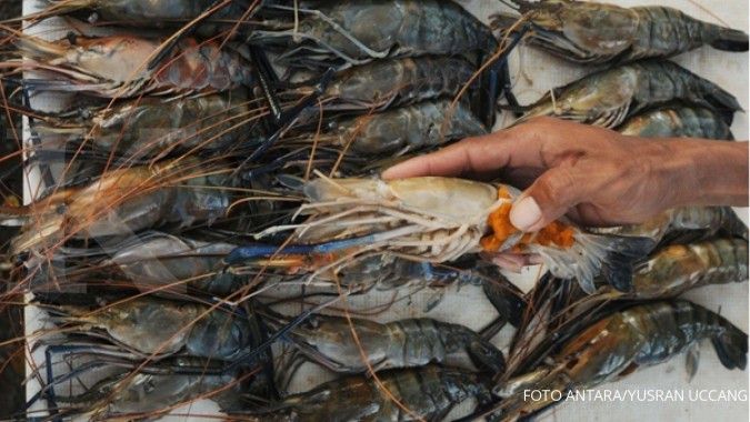 Udang asal Indonesia terbukti bebas dumping di AS