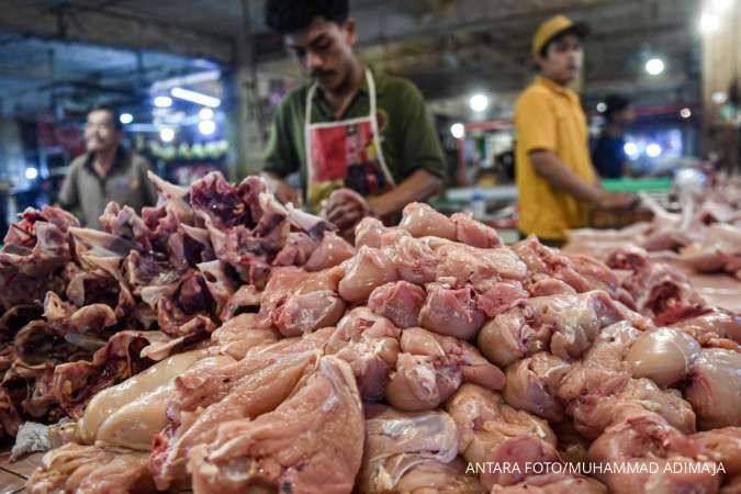 Begini Ciri Daging Ayam Busuk yang Tidak Layak Dikonsumsi