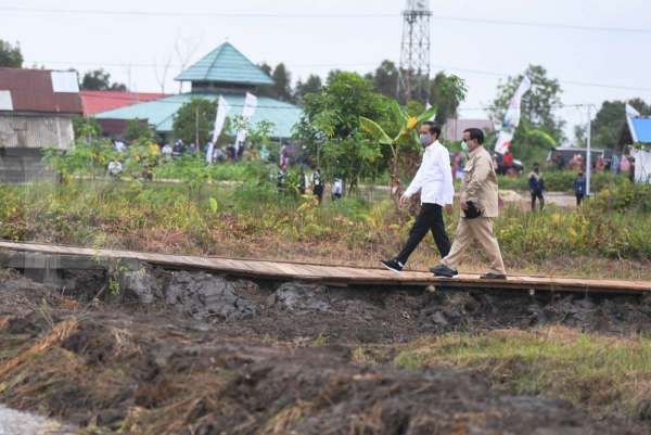 Jokowi tunjuk Prabowo urus lumbung pangan di Kalteng seluas 30.000 ha, ini alasannya?