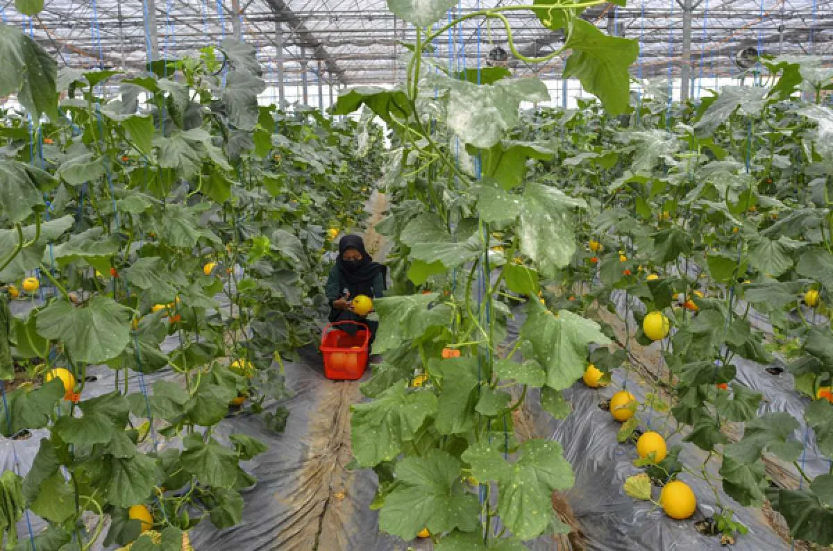 Rekomendasi Tempat Wisata di Tasikmalaya yang Menarik, Pernah ke Karang Resik?