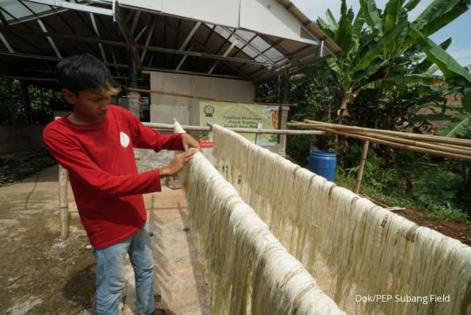 Pengolahan serat daun nanas