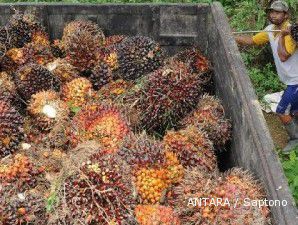 Spekulasi stok Malaysia melimpah, CPO terseret ke level terendah enam pekan