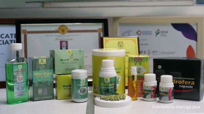 Kisah Produk Daun Kelor Yang Sudah Tembus Pasar Global