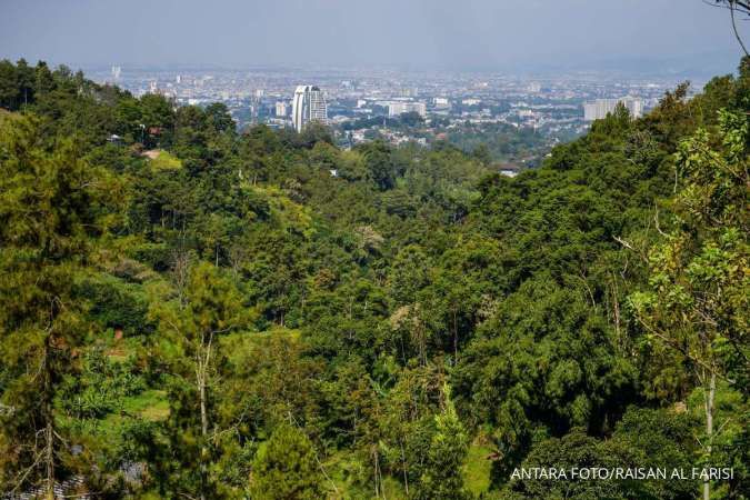 Ada Risiko Bencana Ekologis dari Rencana Alih Fungsi Hutan Seluas 20 Juta Hektare 