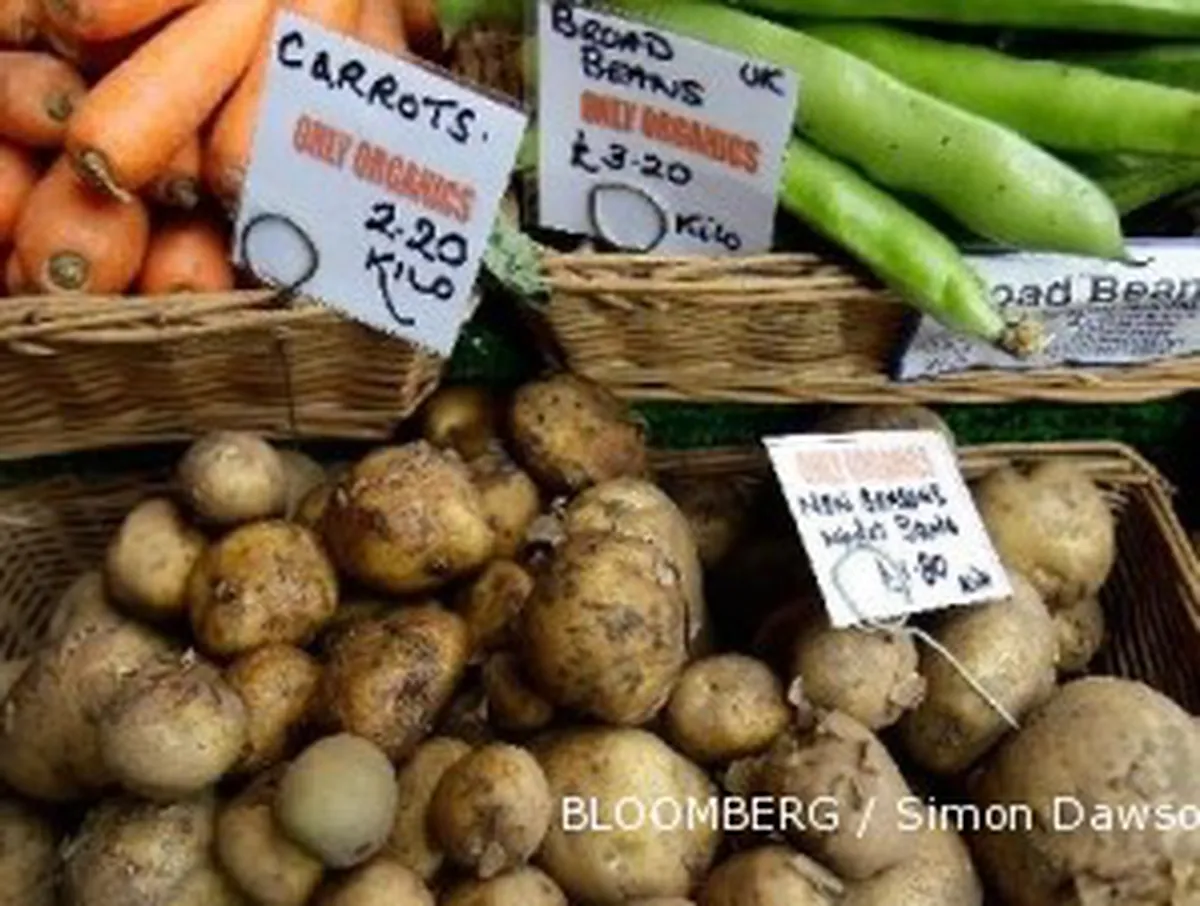 Australia dan Singapura stop impor makanan dari Jepang