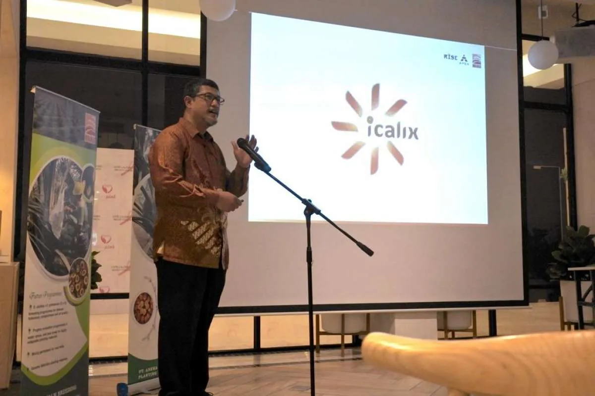 Dukung sawit berkelanjutan, Minamas Plantation luncurkan benih unggul iCalix 
