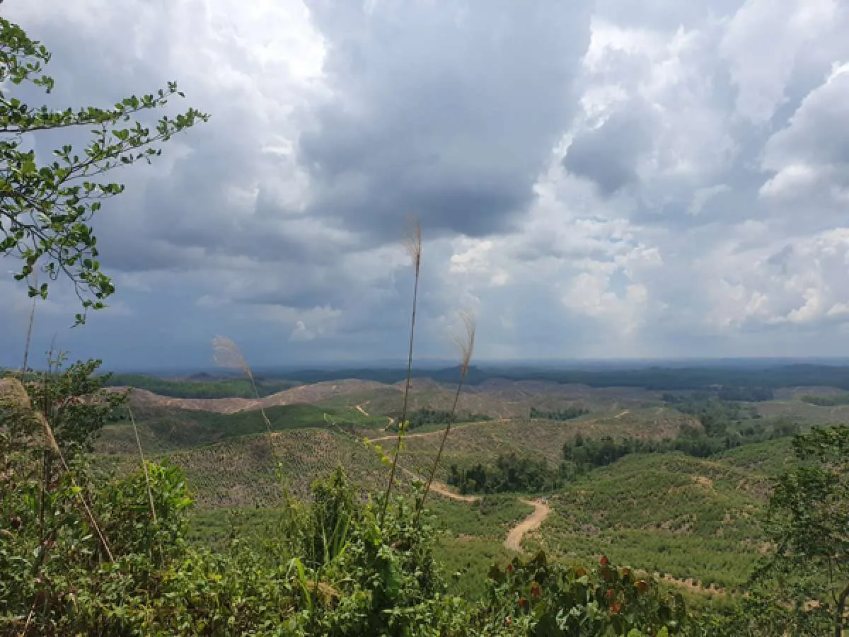 Sepaku akan jadi CBD di Ibukota baru 