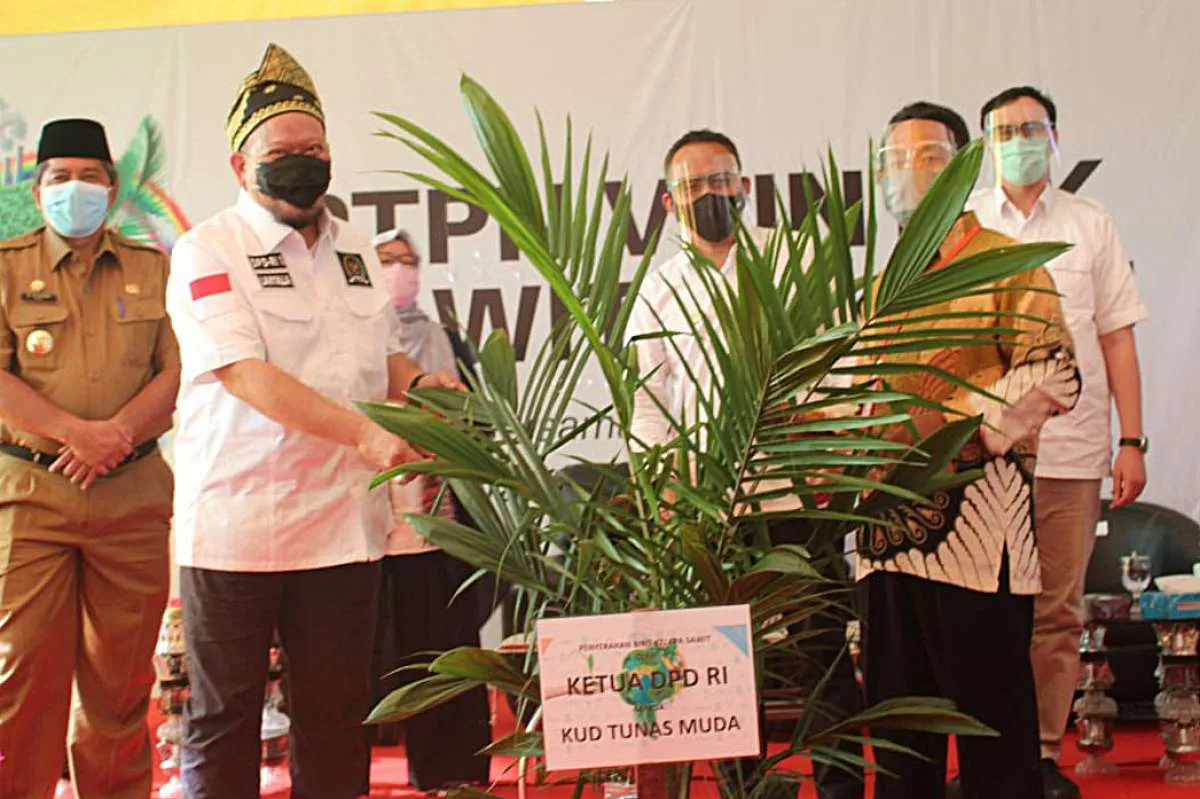 Tingkatkan produktivitas sawit, DPD RI dukung peremajaan sawit PTPN V