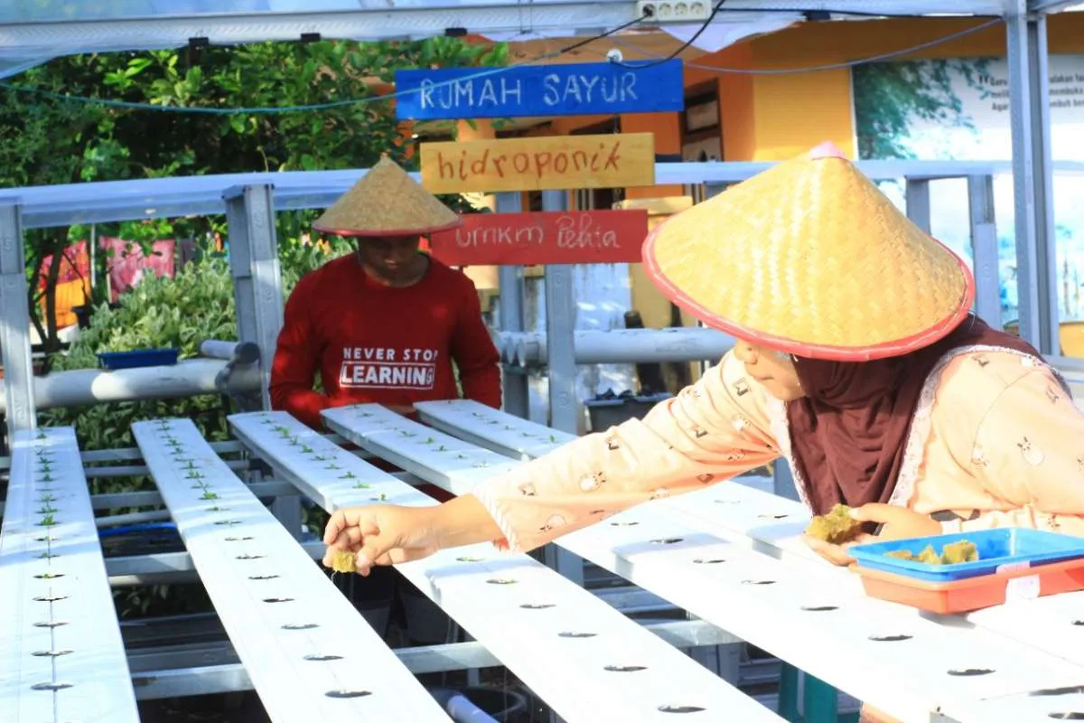 Bikin program Pelita, Pertamina Terminal Tanjungwangi gencar berdayakan masyarakat 