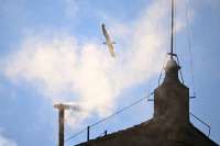 Pemilihan Paus: Dari Asap Putih hingga Pengumuman Habemus Papam