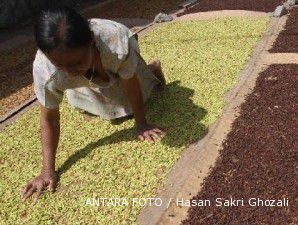 Tahun ini, produksi minyak atsiri diprediksi belum kembali normal