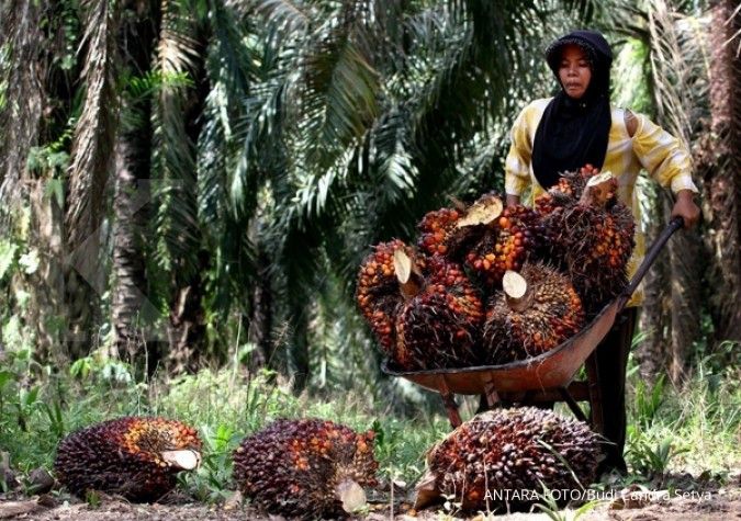 P3PI Dorong Perlindungan Pekerja Perempuan di Perkebunan Sawit 