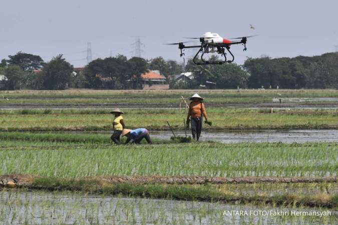 Petani dan Perdagangan Berkelanjutan