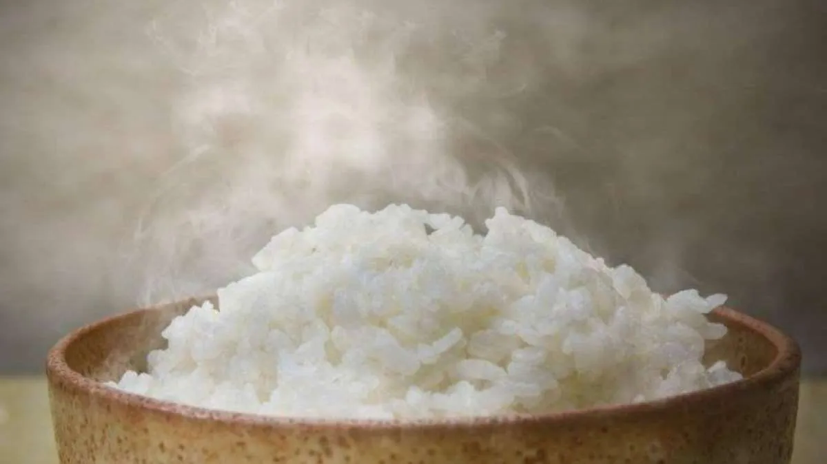 Apa Itu Karbohidrat? Ini Jenis-Jenis Karbohidrat, Sumber, dan Manfaatnya