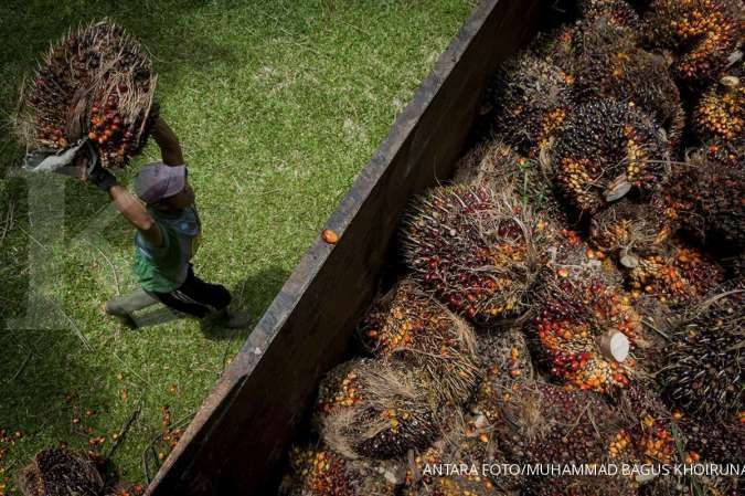 AS blokir sawit dari perusahaan Malaysia, DMSI: Satu peringatan buat Indonesia