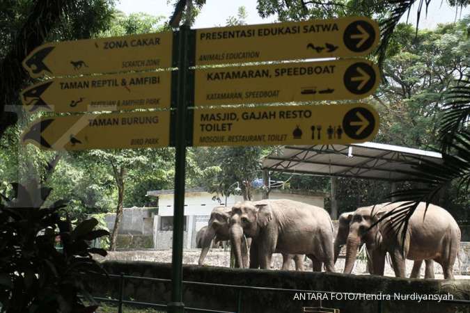 Kebun binatang Gembira Loka Yogyakarta buka 3 Agustus 2020, ini harga tiketnya