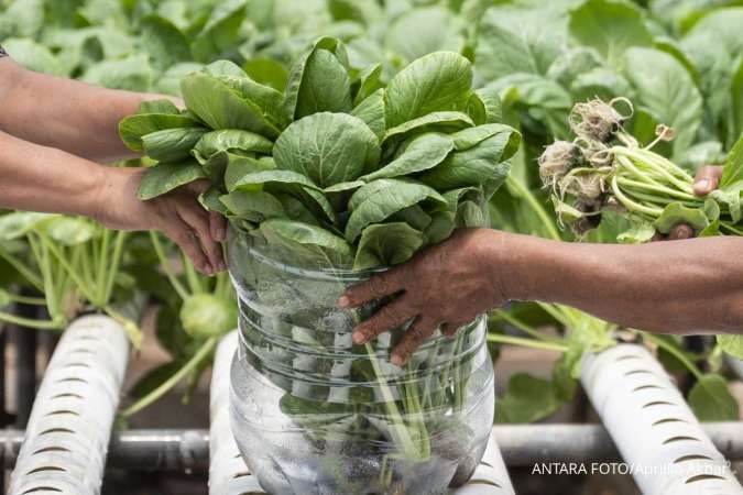 Jangan Salah Beli! Ini 6 Sayuran Beku Terbaik dan yang Paling Segar Menurut Ahli Gizi