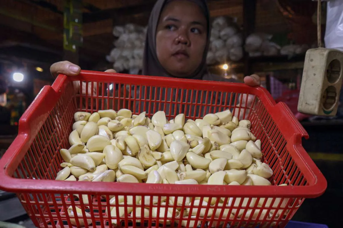 Harga Bawang Putih Melejit, Bapanas Siapkan Intervensi Panggil Importir & Distributor
