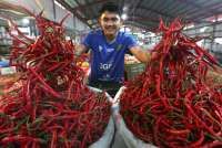 Waspada Lonjakan Inflasi Pangan Berlanjut