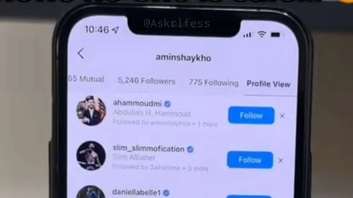 Benarkah Ada Fitur Baru Profile View Instagram? Begini Cara Melihat Stalker IG