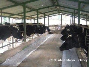 Kepala BPS: Ekspor sapi dihentikan, yang rugi Australia