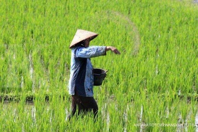 El Nino dan bencana membuat stok beras sulit surplus