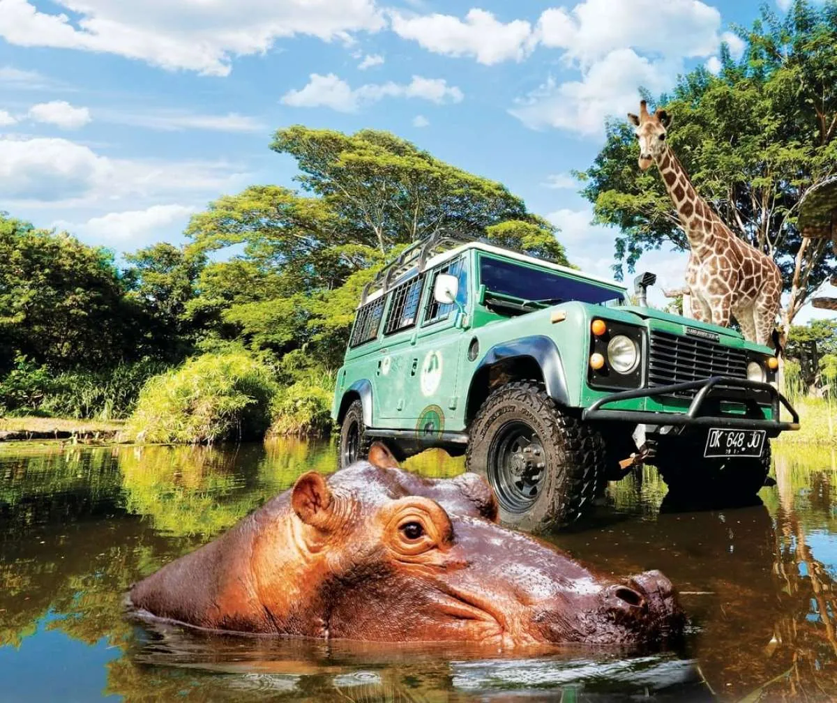 Bali Safari cocok untuk tujuan liburan akhir pekan, ini harga tiketnya