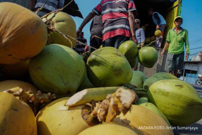 Petani Kelapa Minta Tarif Ekspor Tidak Lebih 5%