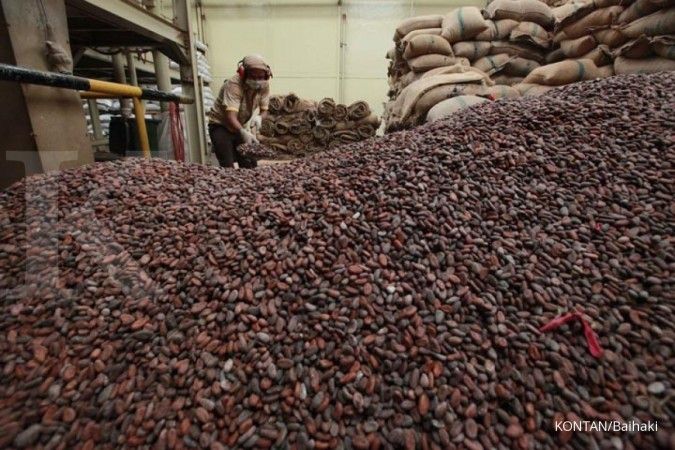 Askindo: Produksi kakao 2017 hanya 300 ribu ton
