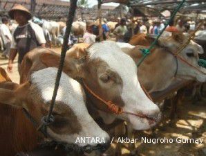 APPSI: Pasokan daging masih aman hingga Lebaran