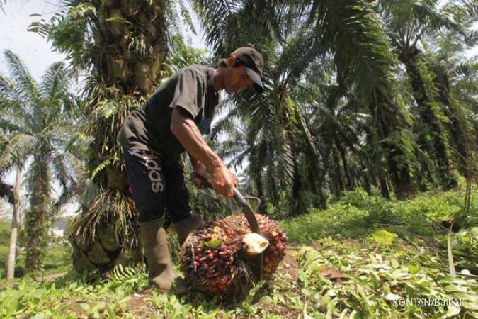 Produksi turun, Austindo Nusantara (ANJT) masih bisa raup laba di kuartal III 2020
