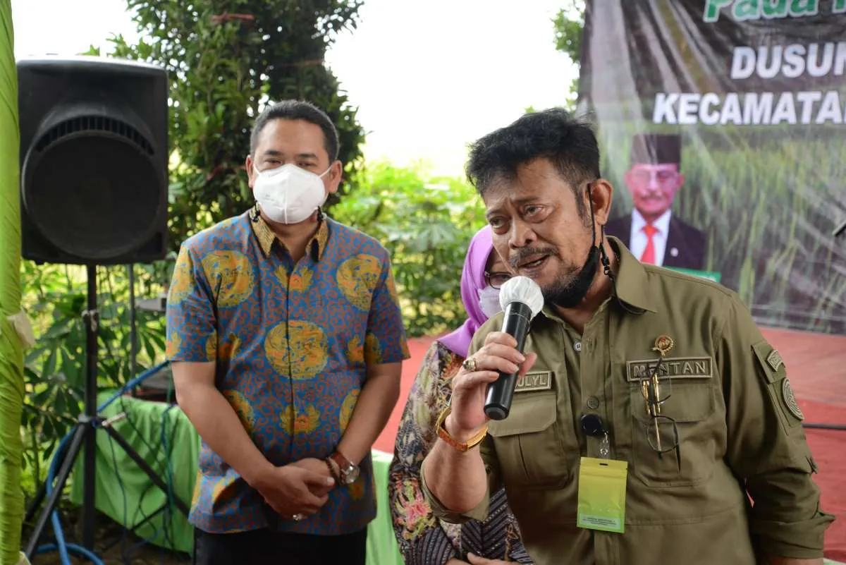 Upaya Kementan penuhi kebutuhan pangan melalui program pekarangan pangan lestari