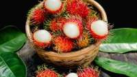 Mengurangi Risiko Diabetes, Ini Manfaat Makan Buah Rambutan bagi Kesehatan