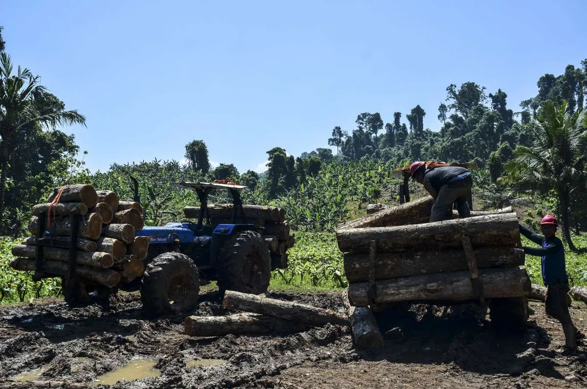 Indonesia Dorong Kesetaraan dalam Sertifikasi Pengelolaan Hutan
