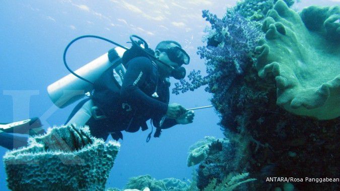 Inilah janji pemerintah menjaga terumbu karang